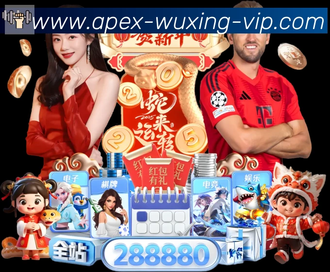 五星体育服务体系